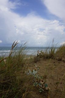 06-Nature-100.jpg