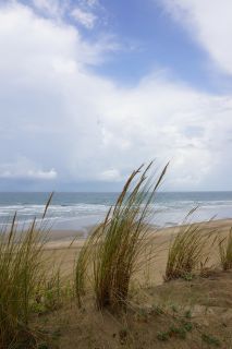 06-Nature-101.jpg
