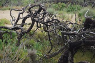 06-Nature-104.jpg