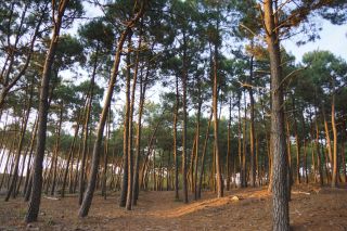 06-Nature-106.jpg