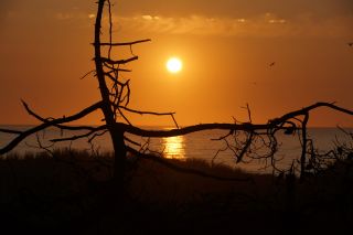 06-Nature-107.jpg