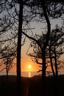 06-Nature-108.jpg
