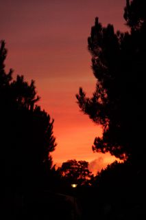 06-Nature-109.jpg