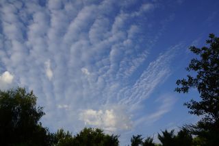 06-Nature-110.jpg