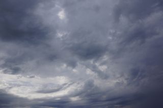 06-Nature-111.jpg