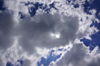 06-Nature-112.jpg