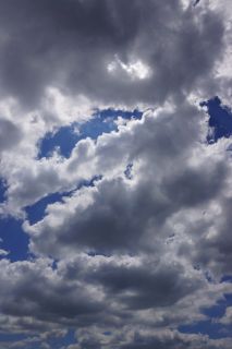 06-Nature-113.jpg