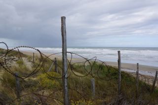 06-Nature-115.jpg