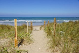 06-Nature-116.jpg
