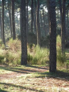 06-Nature-117.jpg