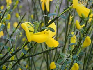 06-Nature-118.jpg
