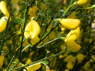 06-Nature-119.jpg