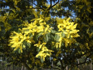 06-Nature-121.jpg