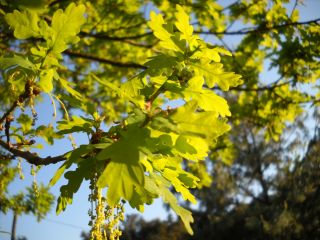 06-Nature-122.jpg