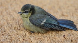 07-Faune-014.jpg