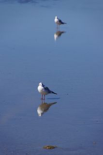 07-Faune-031.jpg