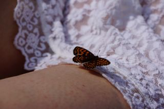 07-Faune-051.jpg