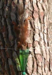 07-Faune-075.jpg