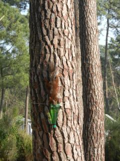 07-Faune-076.jpg